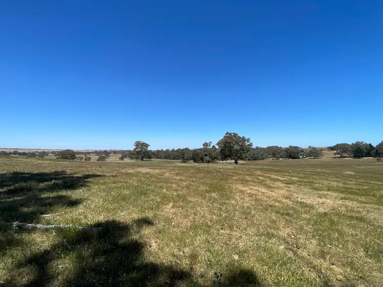 Sixth view of Homely rural property listing, LOT 21, 201 Mcgormans Road, Mount Pleasant SA 5235