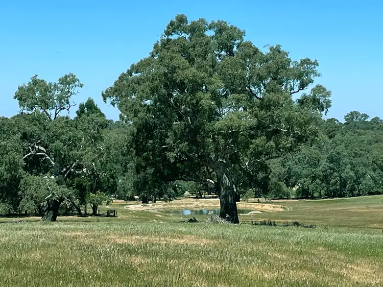 Seventh view of Homely rural property listing, LOT 21, 201 Mcgormans Road, Mount Pleasant SA 5235