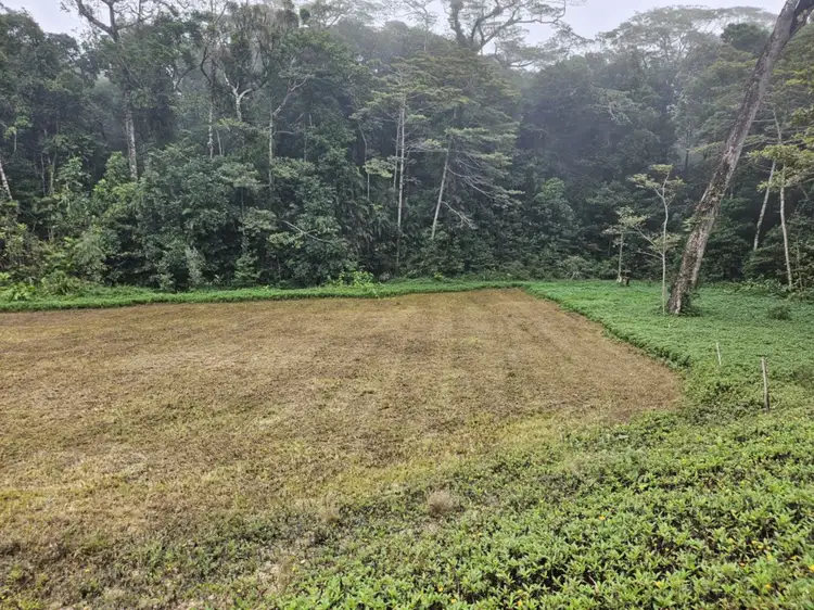 Third view of Homely land listing, 25 Loop Road, Paluma QLD 4816