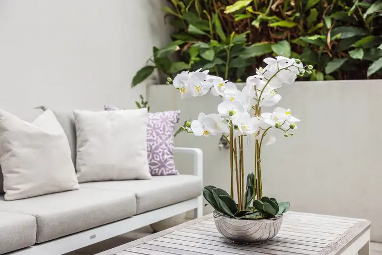 Fifth view of Homely terrace listing, 63 William Lane, Alexandria NSW 2015