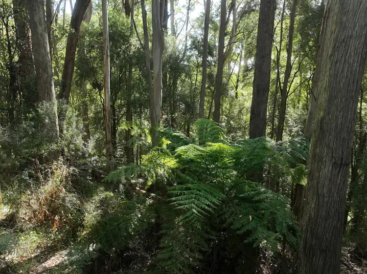 Fourth view of Homely rural property listing, 3550 Colac Lavers Hill Road,, Ferguson VIC 3237