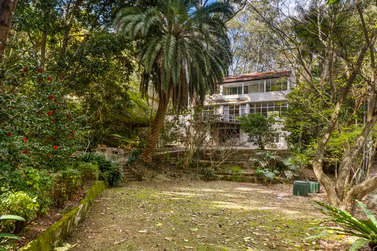 19 Buckingham Road, Killara NSW 2071