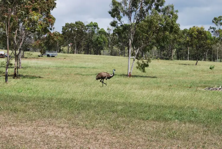 Fifth view of Homely land listing, 7 Lovandee Road, Ironpot QLD 4701