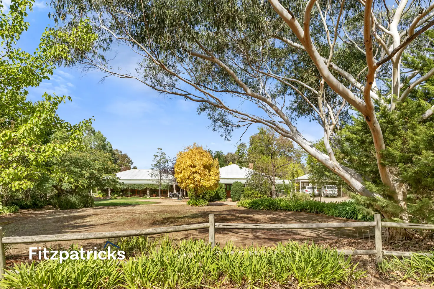 Main view of Homely house listing, 3 Kauri Place, Springvale NSW 2650