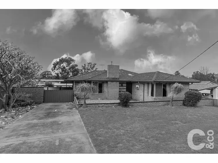 Main view of Homely house listing, 31 Calista Avenue, Calista WA 6167