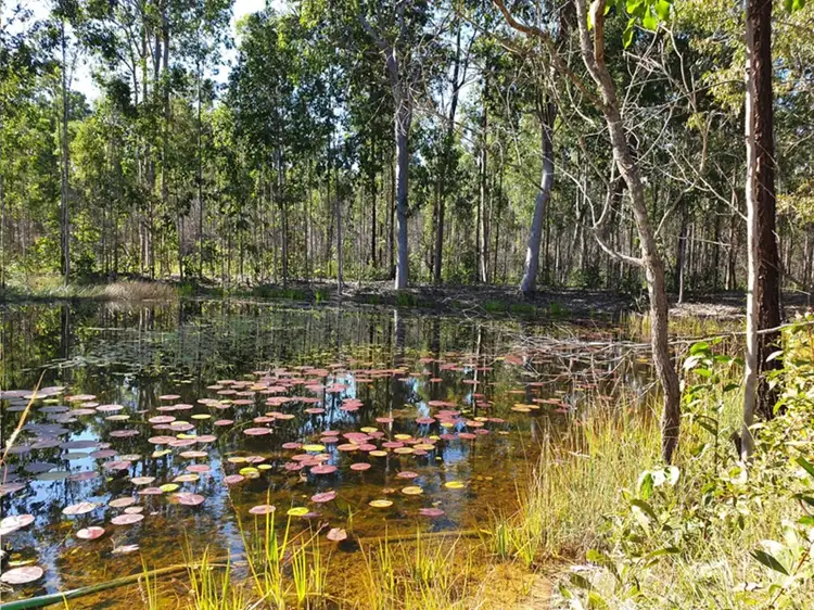 2229 Myall Creek Road, West Bungawalbin NSW 2471