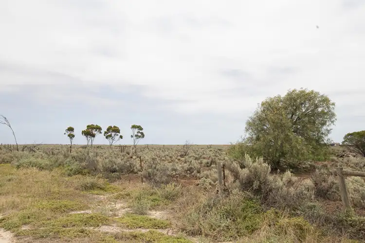 Fifth view of Homely land listing, 100 Port Davis Road, Risdon Park SA 5540