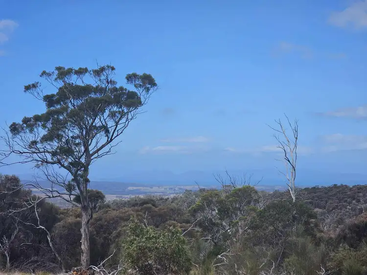 4100 Lake Leake Road, Swansea TAS 7190