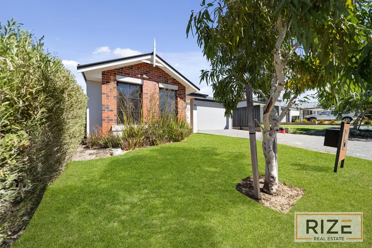 Main view of Homely house listing, 48 Potoroo Street, Banksia Grove WA 6031