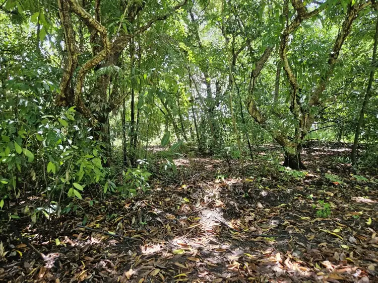 Seventh view of Homely land listing, LOT 16 Forrest Drive, Forrest Beach QLD 4850