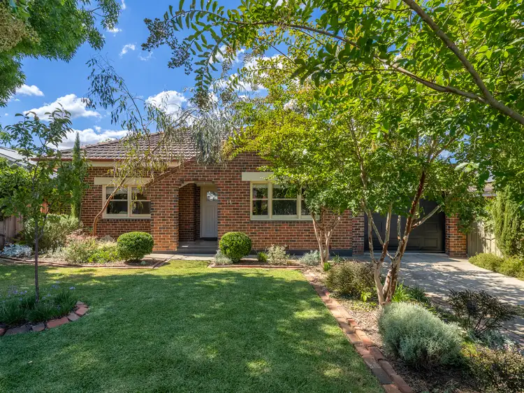 Main view of Homely house listing, 11 Murdoch Road, Wangaratta VIC 3677