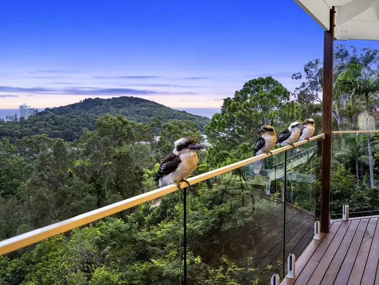 Sixth view of Homely house listing, 13 Vantage Point Drive, Burleigh Heads QLD 4220