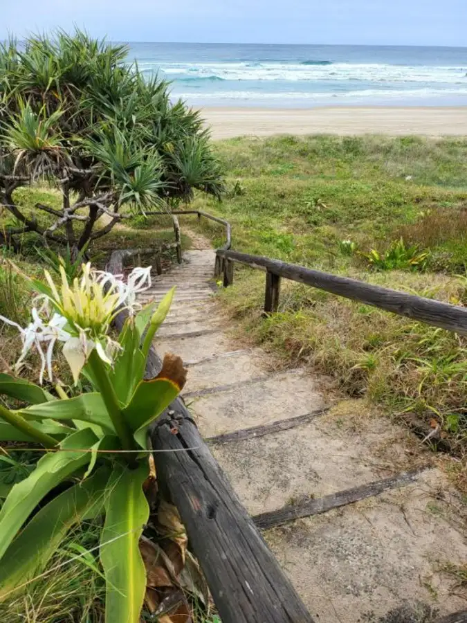 11 Mackerel Street, Noosa North Shore QLD 4565
