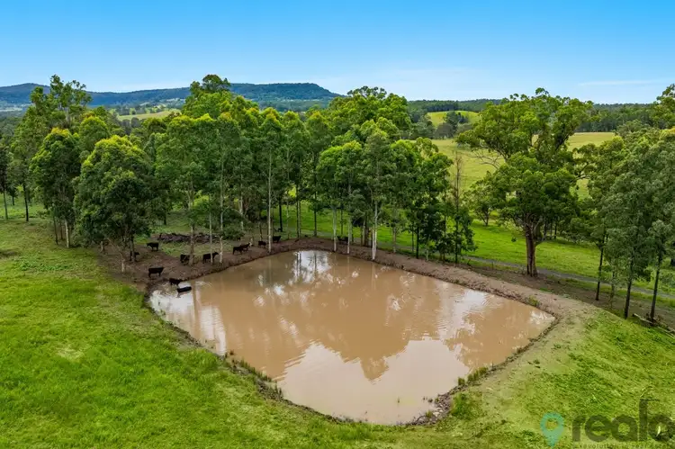 Fourth view of Homely rural property listing, 224 Armstrongs, Tunglebung NSW 2469