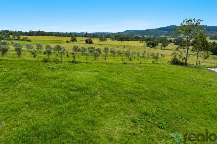 Seventh view of Homely rural property listing, 224 Armstrongs, Tunglebung NSW 2469
