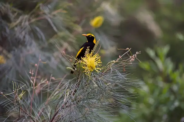 Sixth view of Homely house listing, 290 Roses Road, Bellingen NSW 2454