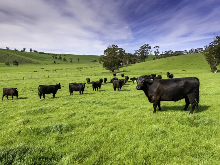 Second view of Homely rural property listing, Old Port Campbell Road, Jancourt VIC 3266