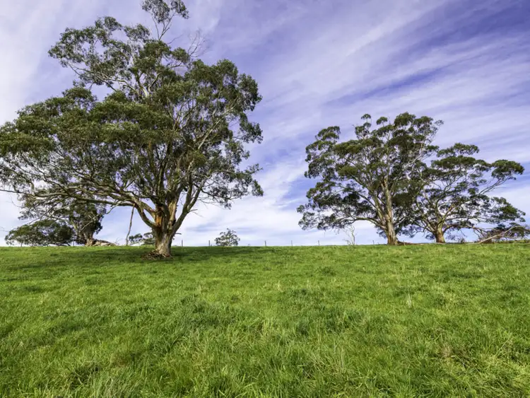 Fourth view of Homely rural property listing, Old Port Campbell Road, Jancourt VIC 3266