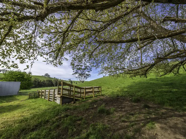 Seventh view of Homely rural property listing, Old Port Campbell Road, Jancourt VIC 3266