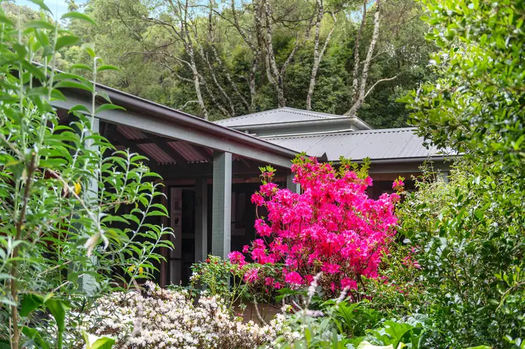 499A Tourist Road, Bellawongarah NSW 2535