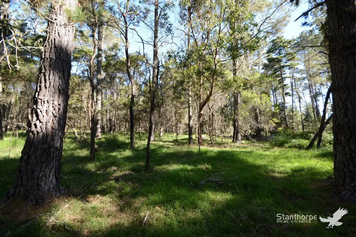 Main view of Homely land listing, Lot 144 Blackbutt Road, Sugarloaf QLD 4380