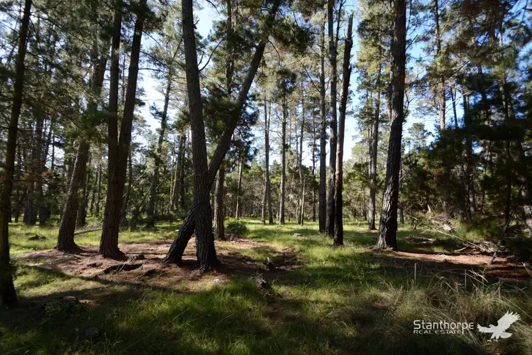 Third view of Homely land listing, Lot 144 Blackbutt Road, Sugarloaf QLD 4380