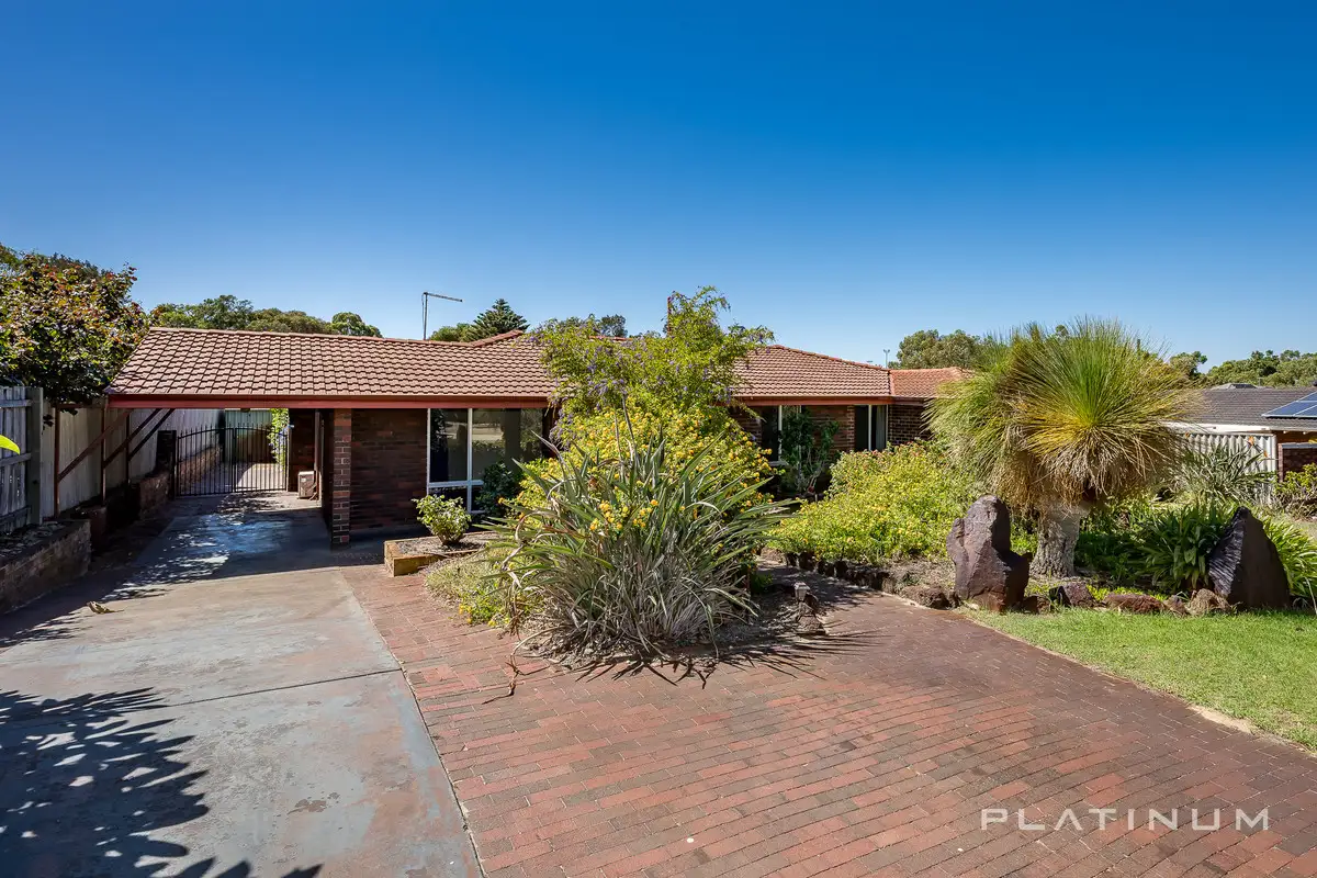 Main view of Homely house listing, 21 Elmton Way, Carine WA 6020