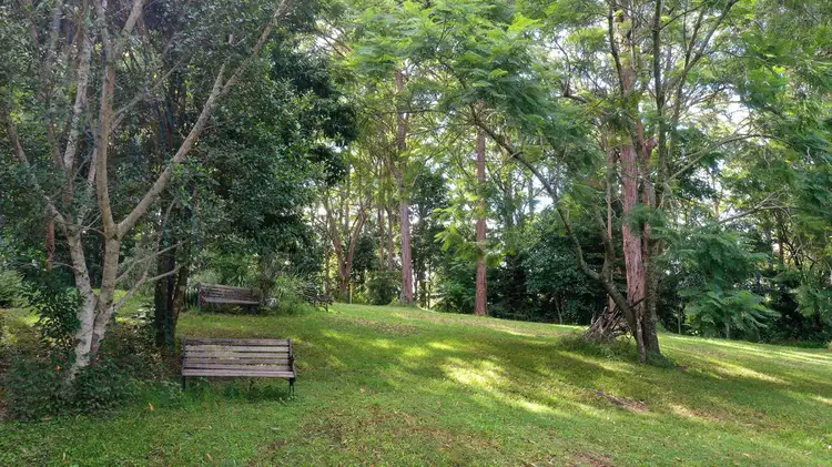 Second view of Homely house listing, 594 Binna Burra Road, Beechmont QLD 4211