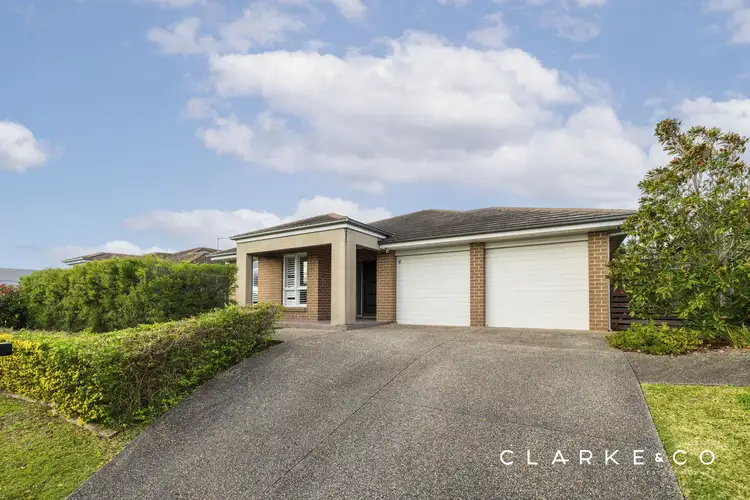 Main view of Homely house listing, 19 Redtail Street, Chisholm NSW 2322