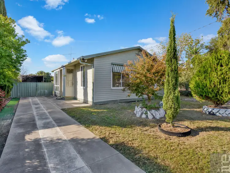 11 Higgins Street