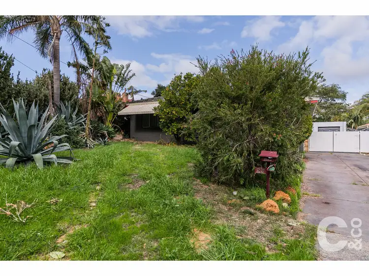 Main view of Homely house listing, 23 Richard Place, Orelia WA 6167