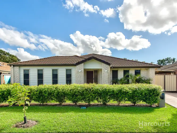 16 Springbok Street, Fitzgibbon QLD 4018