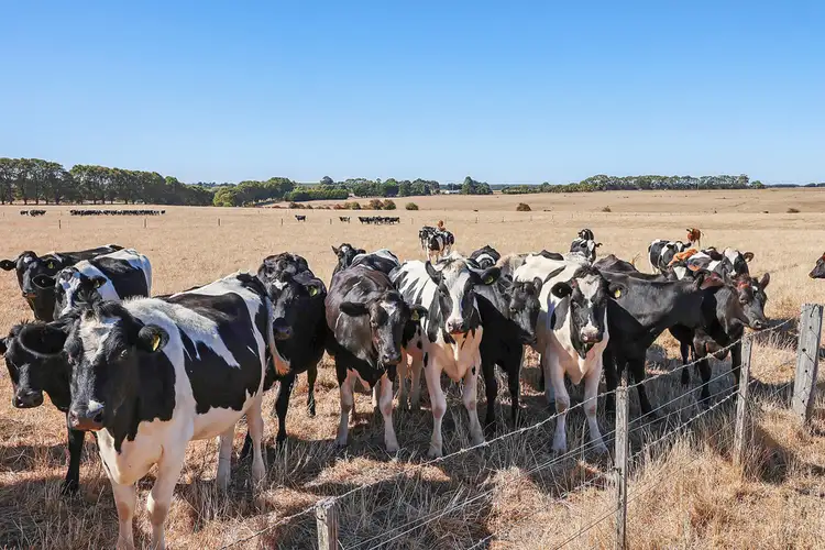 Third view of Homely rural property listing, 8012 Princes Highway, Garvoc VIC 3265