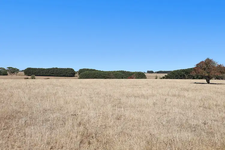 Fourth view of Homely rural property listing, 8012 Princes Highway, Garvoc VIC 3265
