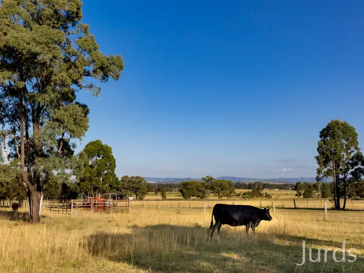 Fourth view of Homely rural property listing, 263 Wambo Road, Bulga NSW 2330