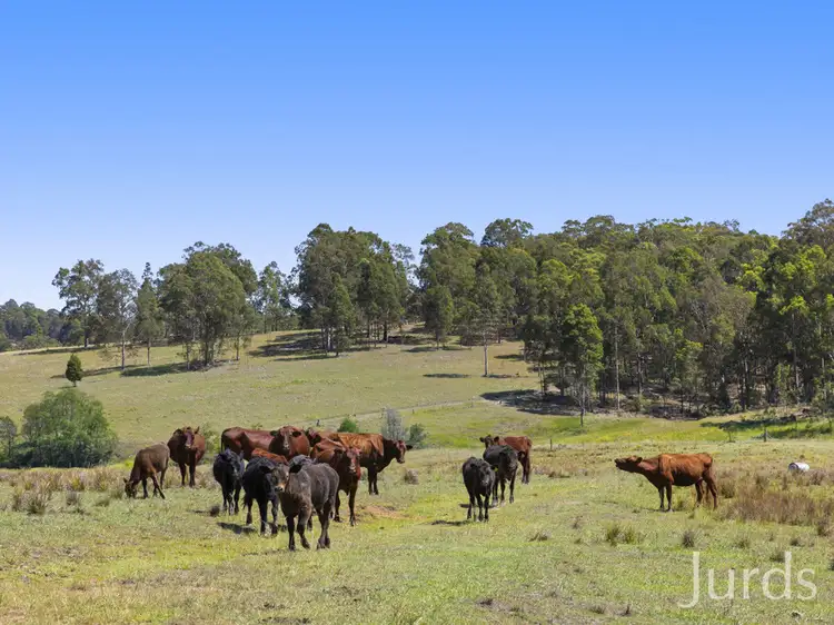 Third view of Homely rural property listing, 324 Wollong Road, Quorrobolong NSW 2325