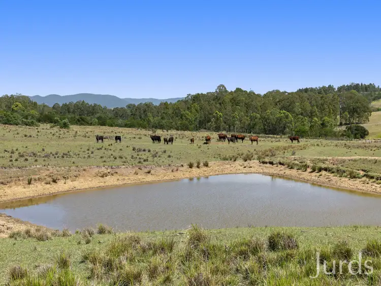 Fifth view of Homely rural property listing, 324 Wollong Road, Quorrobolong NSW 2325