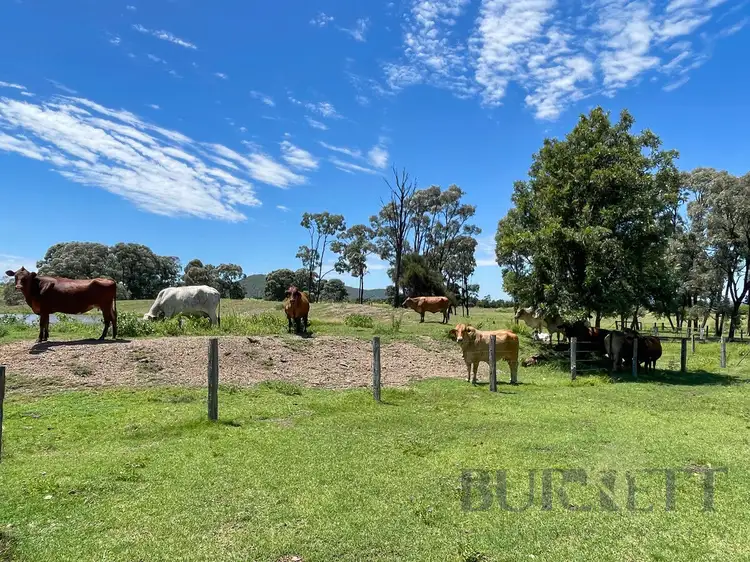 Third view of Homely rural property listing, 13286 Isis Highway, Ban Ban QLD 4625