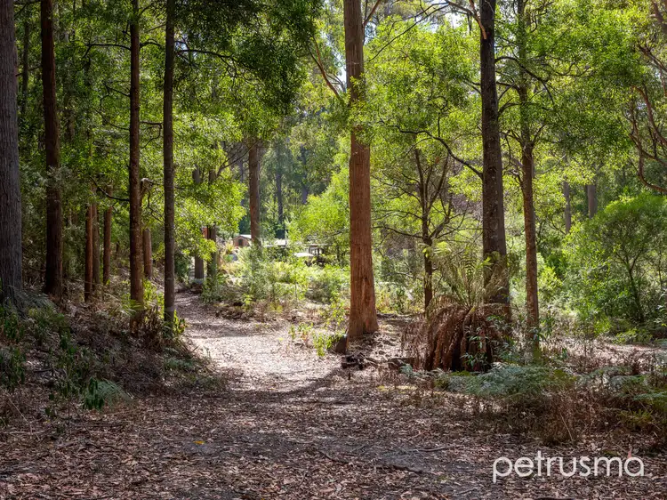 Main view of Homely other listing, 225 Fyfes Road, Mountain River TAS 7109