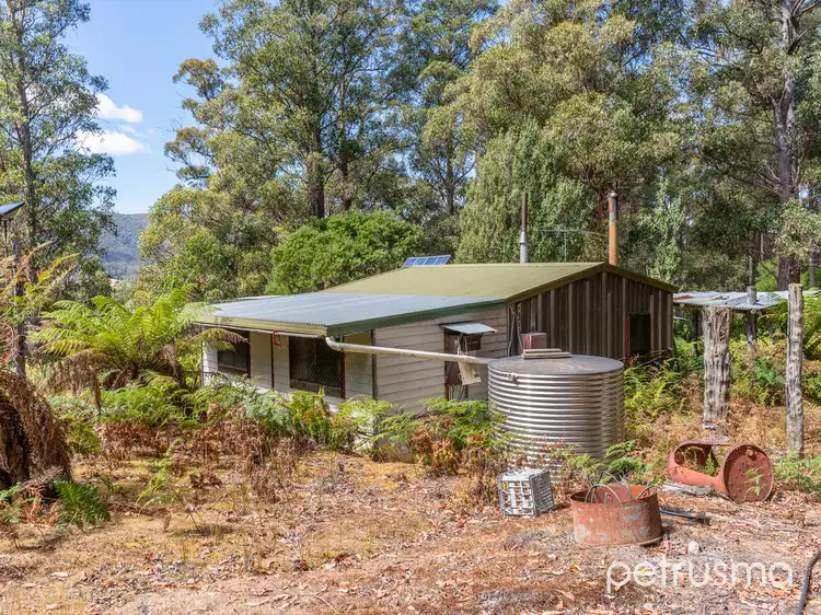 Second view of Homely other listing, 225 Fyfes Road, Mountain River TAS 7109