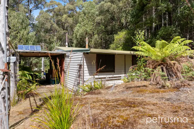 Third view of Homely other listing, 225 Fyfes Road, Mountain River TAS 7109