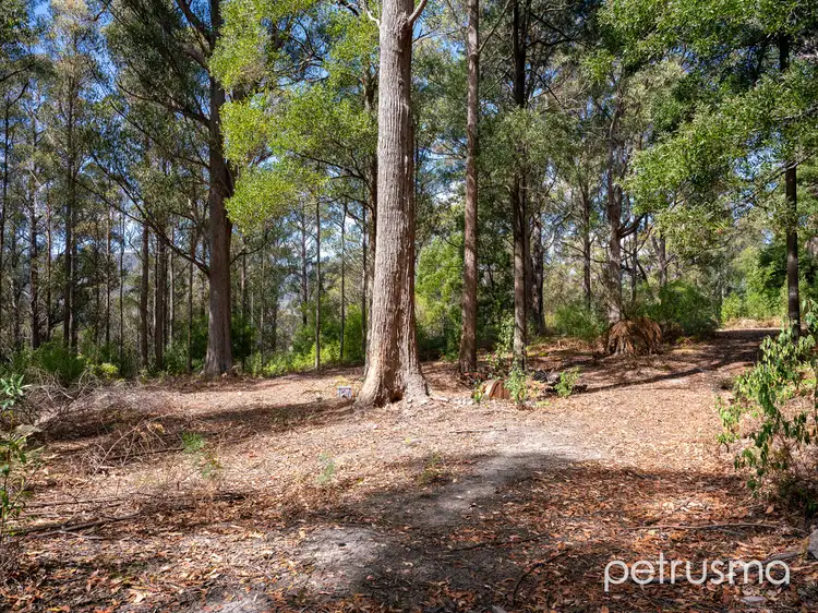 Sixth view of Homely other listing, 225 Fyfes Road, Mountain River TAS 7109