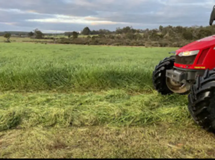 Fourth view of Homely rural property listing, LOT 1 Hopkins Road, Chapman Hill WA 6280