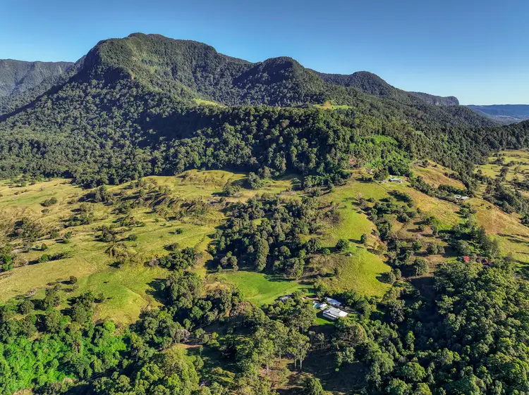 Third view of Homely rural property listing, 2327 Numinbah Road, Numinbah NSW 2484