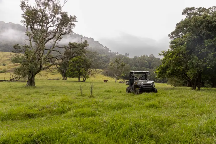 Fourth view of Homely rural property listing, 2327 Numinbah Road, Numinbah NSW 2484