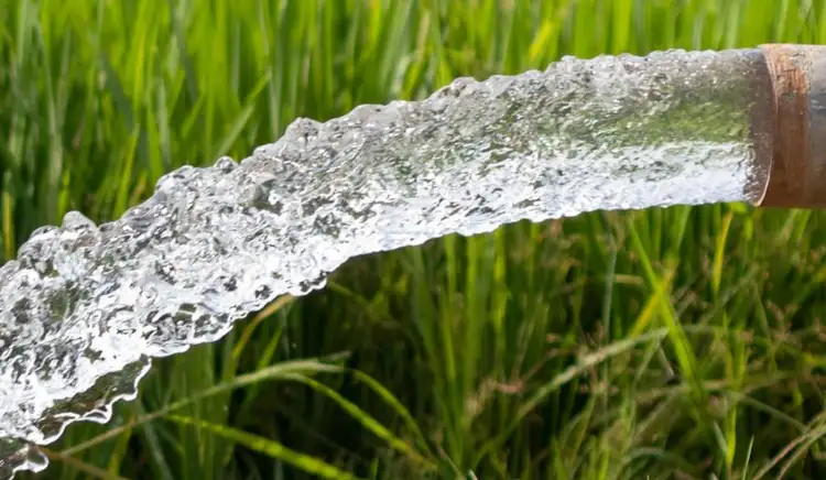 Water Licence 1378 Kingsthorpe Haden Road, Boodua QLD 4401