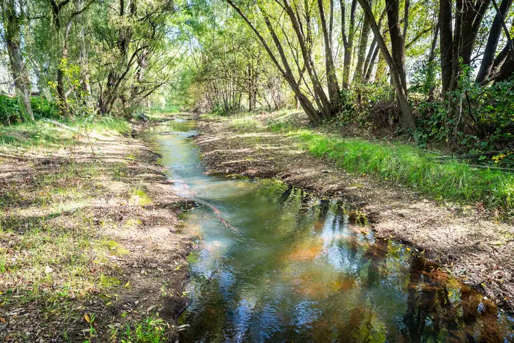 Third view of Homely rural property listing, Mongan Lane, Yackandandah VIC 3749