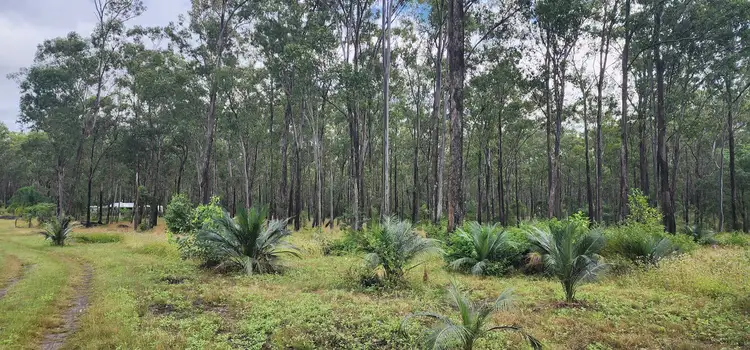 Fifth view of Homely house listing, 227 Archer Road, Struck Oil QLD 4714