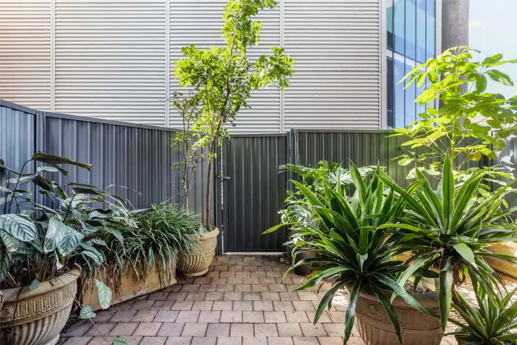 Fifth view of Homely apartment listing, 17/2 Goodlet Street (enter via 25 Belvoir Street), Surry Hills NSW 2010