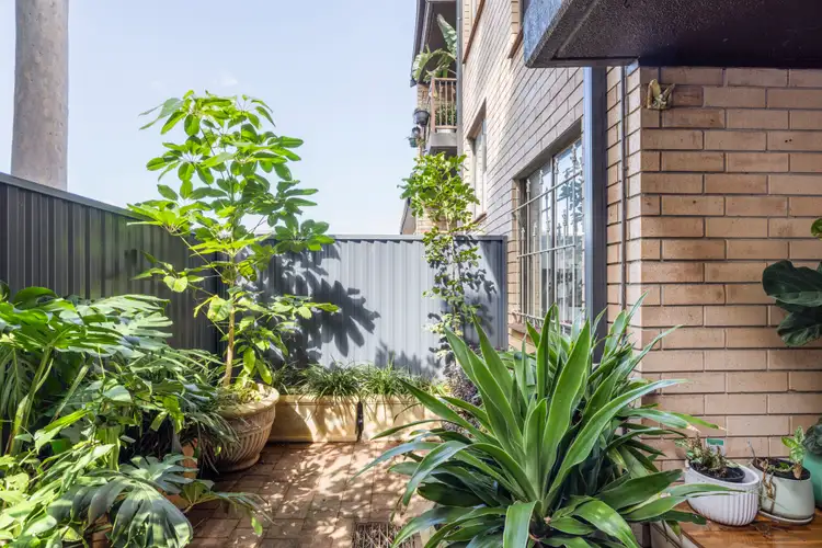 Sixth view of Homely apartment listing, 17/2 Goodlet Street (enter via 25 Belvoir Street), Surry Hills NSW 2010